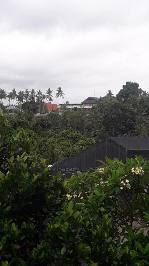Waterfall Guest House Sukawati  Bagian luar foto