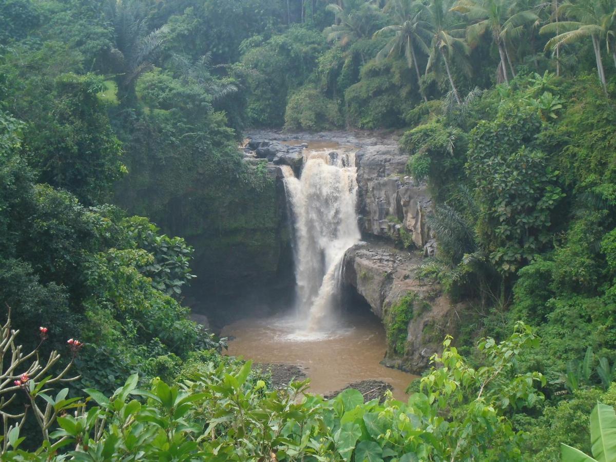 Waterfall Guest House Sukawati  Bagian luar foto